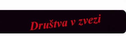 naslov