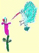 Humming Bird