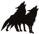 Wolves howling