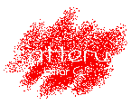Jamar CZ cattery