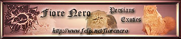 Fiore