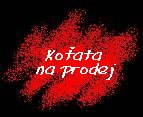 ko�ata
