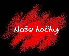 na�e ko�ky