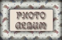 photoalbumbtn.jpg