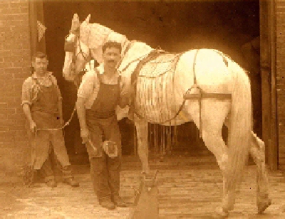 picture of Frank Crouser holding the reins while a horse is being shoed