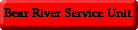BRSU button