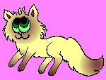 Catnip