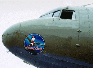 Nose view