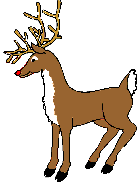 reindeer