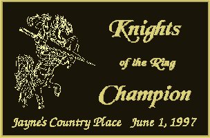 Knights of the Ring Champion