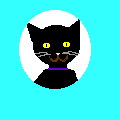 My Adopted Cyber Kitty, Midnight