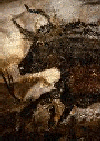 lascaux bison