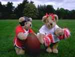 Football Bears
