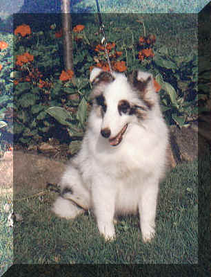 zzflow.jpg (152481 bytes)