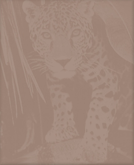 Leopard Tile