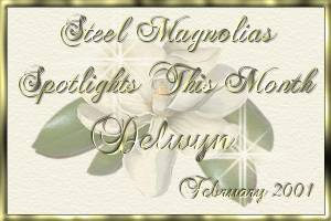 Steel Magnolia Febuary Spotlight