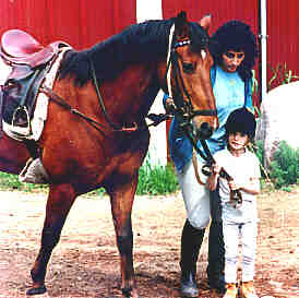 horse1.jpg (13535 bytes)