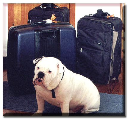 I packed my bags and moved !