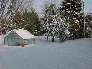 Winter