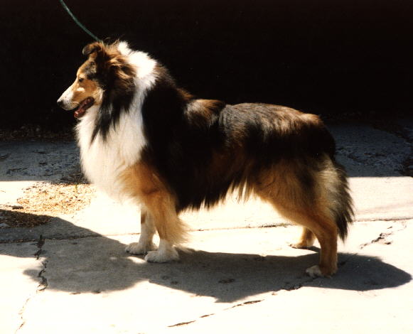 bobbya.jpg (34621 bytes)