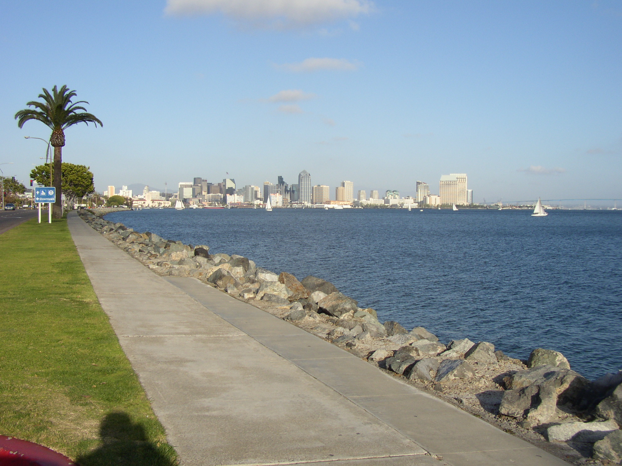 Harbor View of Downtown San Diego