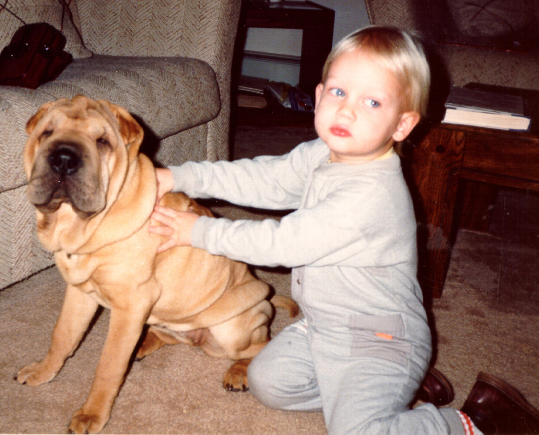 Chinese Shar-Pei