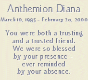 Diana Memorial