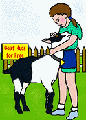 Goat Hugs for Free