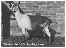 Glenhardin SSS Hershey Kiss