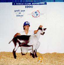 Glenhardin SSS Diana's Danuha