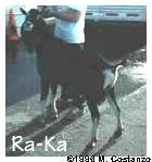 Ra-Ka