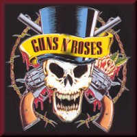 Guns n Roses pic