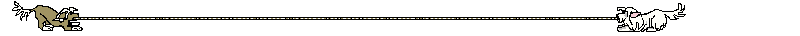 /user/crstddivider.gif
