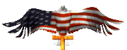 eagleflag
