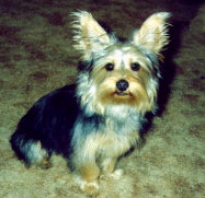 Bud at 5 months old