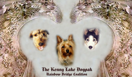 The Kenny Lake Dogpak, Rainbow Bridge Coalition