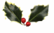�J�b�g