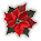 �J�b�g