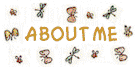 flutteraboutmebutton.bmp (10738 bytes)