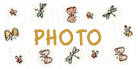 flutterphotobutton.bmp (10738 bytes)