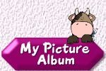 My Picture Album