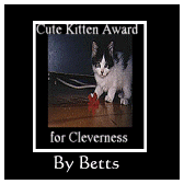Cute Kitten Award for Cleverness
