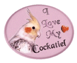 I love my Cockatiel Award
