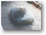 Plymouth Rock