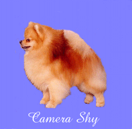 picture of Dimonde Flynn's Cover Girl