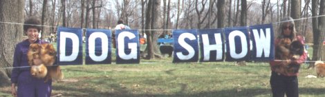 at a dog show