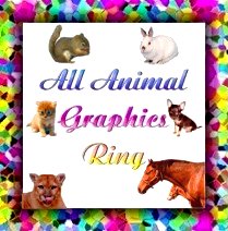 All Animal Graphics Ring