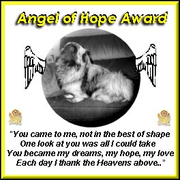 Asasha's Angel of Hope Award