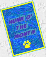 hunk award