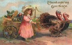 little girl leading a turkey cart